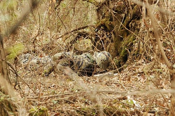 全面からは完璧でもサイドからは…。