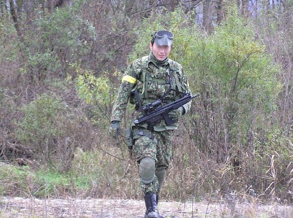 厳密に言うなら陸上自衛隊迷彩。