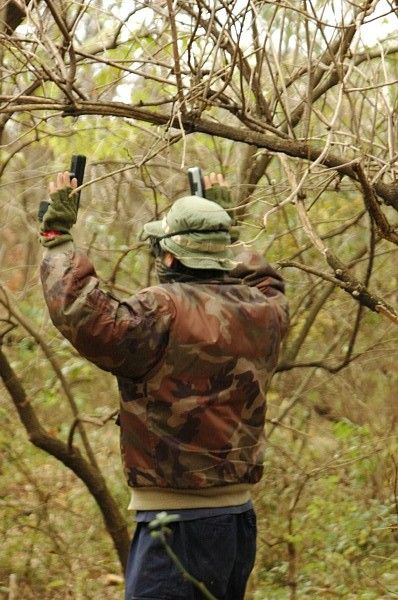 パターンとしてはウッドランド?