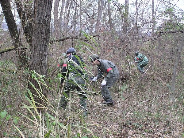 一斉に潰しにかかってきます。