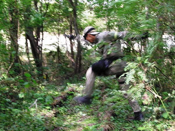 1B